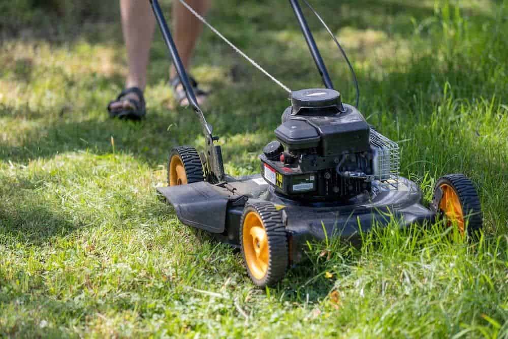 Gardening image