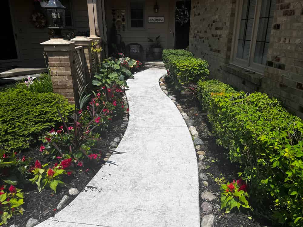 Pruning & Trimming image